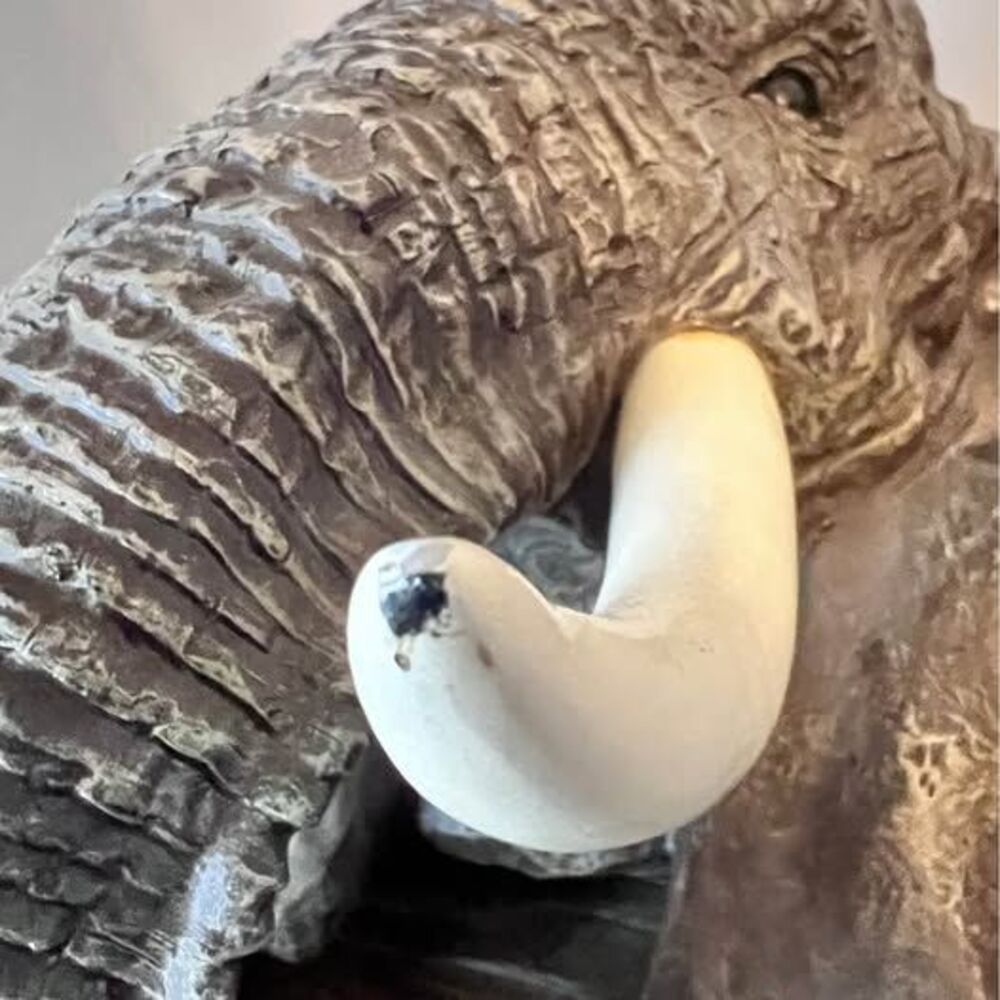 RARE Exotic Polyresin African Elephant Head Wall Mount Sculpture Realistic - Picture 6 of 10